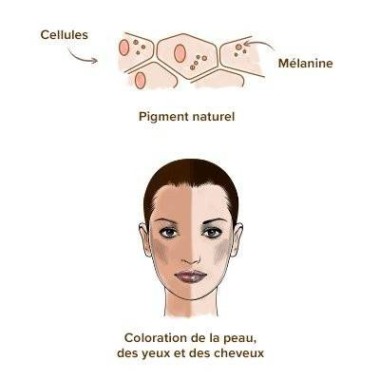 Melanina naturala 90 Capsule Pentru par, piele, bronz, Belle&Bio Melanina naturala beneficii: melanina pentru par, culoarea bron