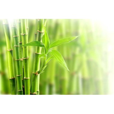 Siliciu Organic 120 Capsule, Belle&Bio Siliciu Organic beneficii: are un efect de intinerire asupra organismului, sustine un țes