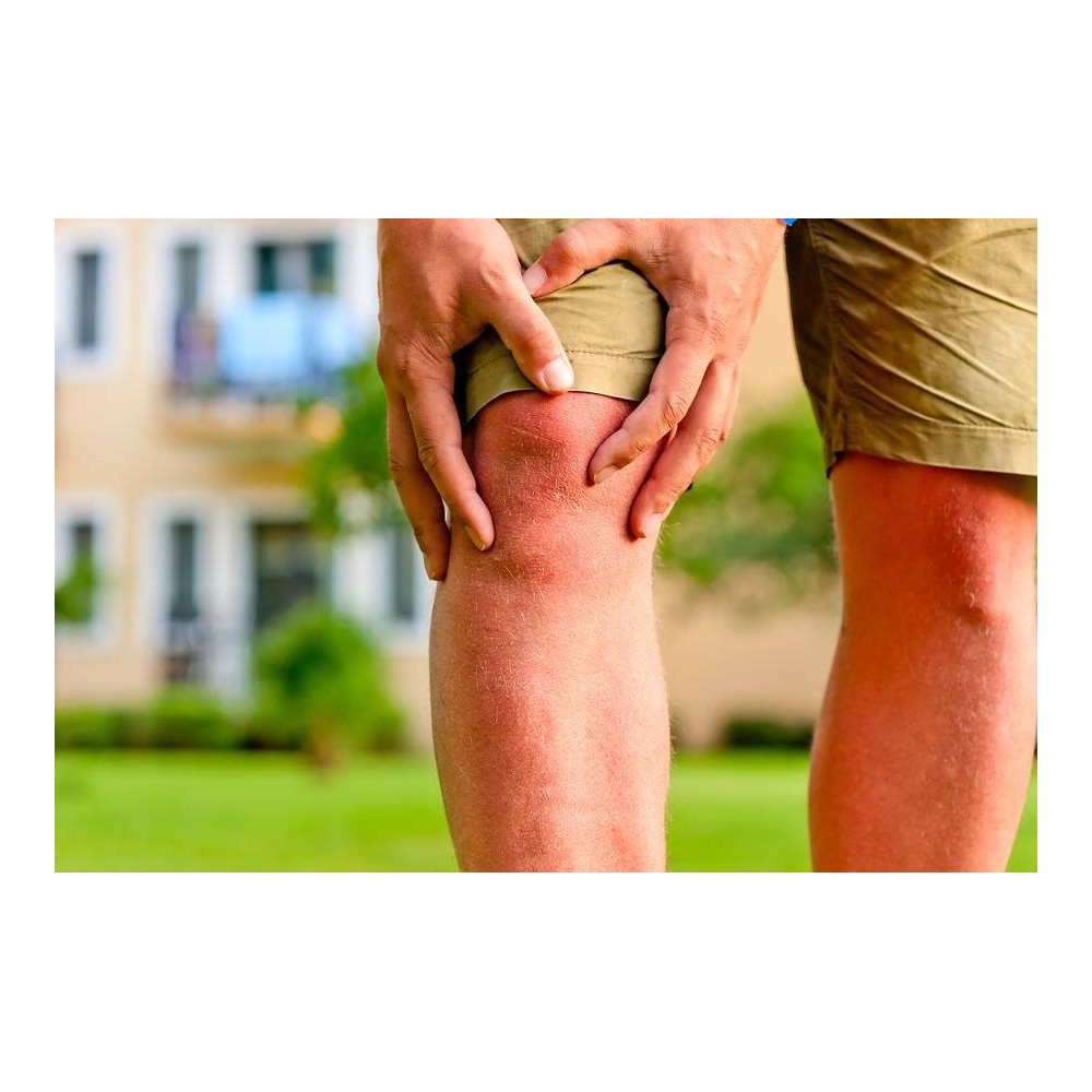 Francois Nature Cartilaj de rechin 120 capsule (Ajuta in artrita si osteoartrita) Beneficii Cartilaj de rechin: scade inflamatia