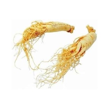Belle&Bio Ginseng Rosu Bio 120 capsule (Creste energia, tonic natural, creste potenta) Beneficii Ginseng Rosu Bio, Ginseng Rosu 
