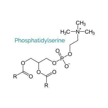 Biovea Fosfatidilserina Complex 500mg 90 Capsule Beneficii Fosfatidilserina: susține comunicarea neuronilor, poate îmbunătăți ac