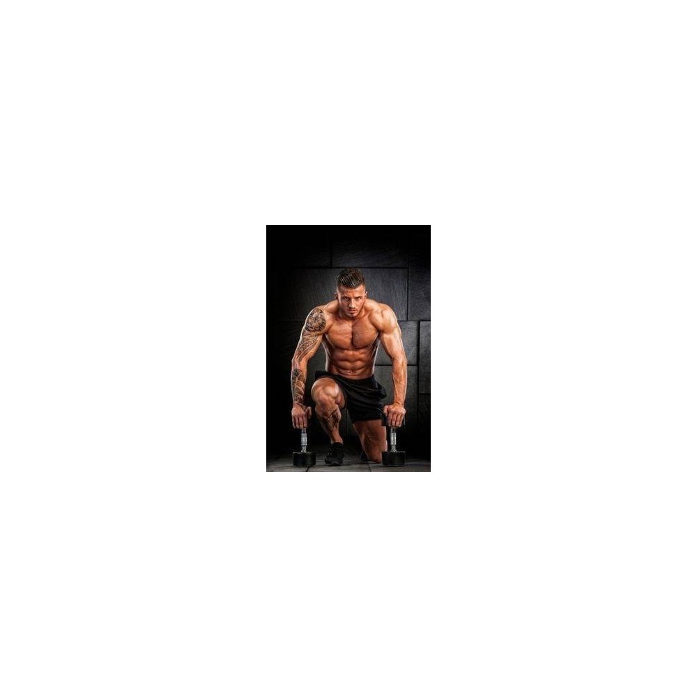 Pure Nutrition USA Amino 2000, 300 tablete (Aminoacizi masa musculara) Beneficii Amino 2000: aminoacizii reprezinta temelia musc