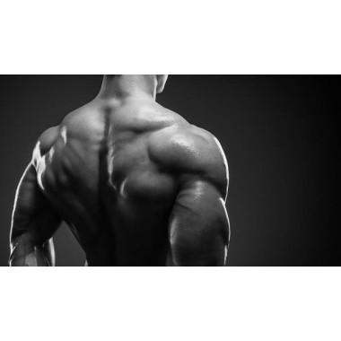Pure Nutrition USA Beef Protein 908 grame (Proteina din carne de vita) Beneficii Proteina din carne de vita: contine Creatina, L
