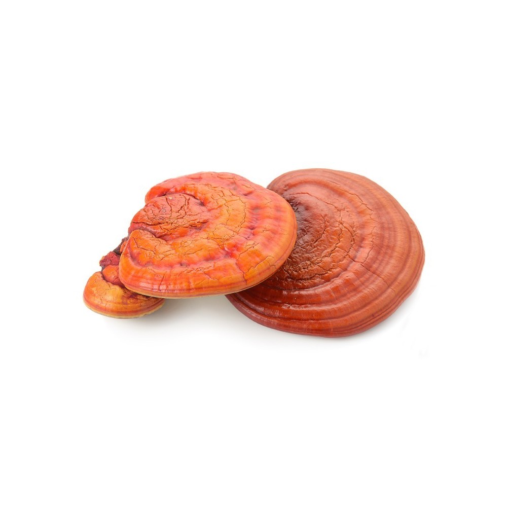 Francois Nature, Reishi Ganoderma 240 capsule Beneficii Reishi Ganoderma: reduce oboseala, are proprietati adaptogene, reduce in