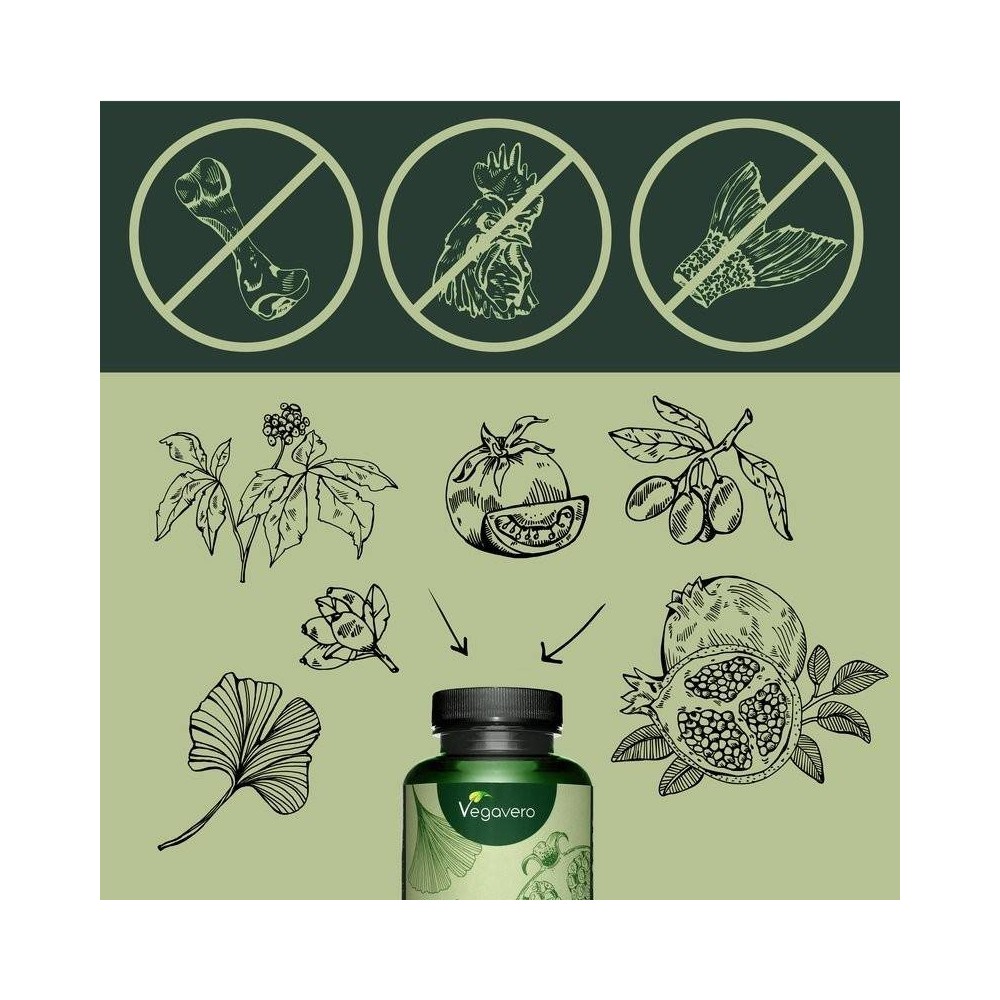 Colagen Vegan Complex 120 Capsule, Vegavero Colagen Vegan reprezinta un supliment alimentar care ajuta la intarirea sintezei fib