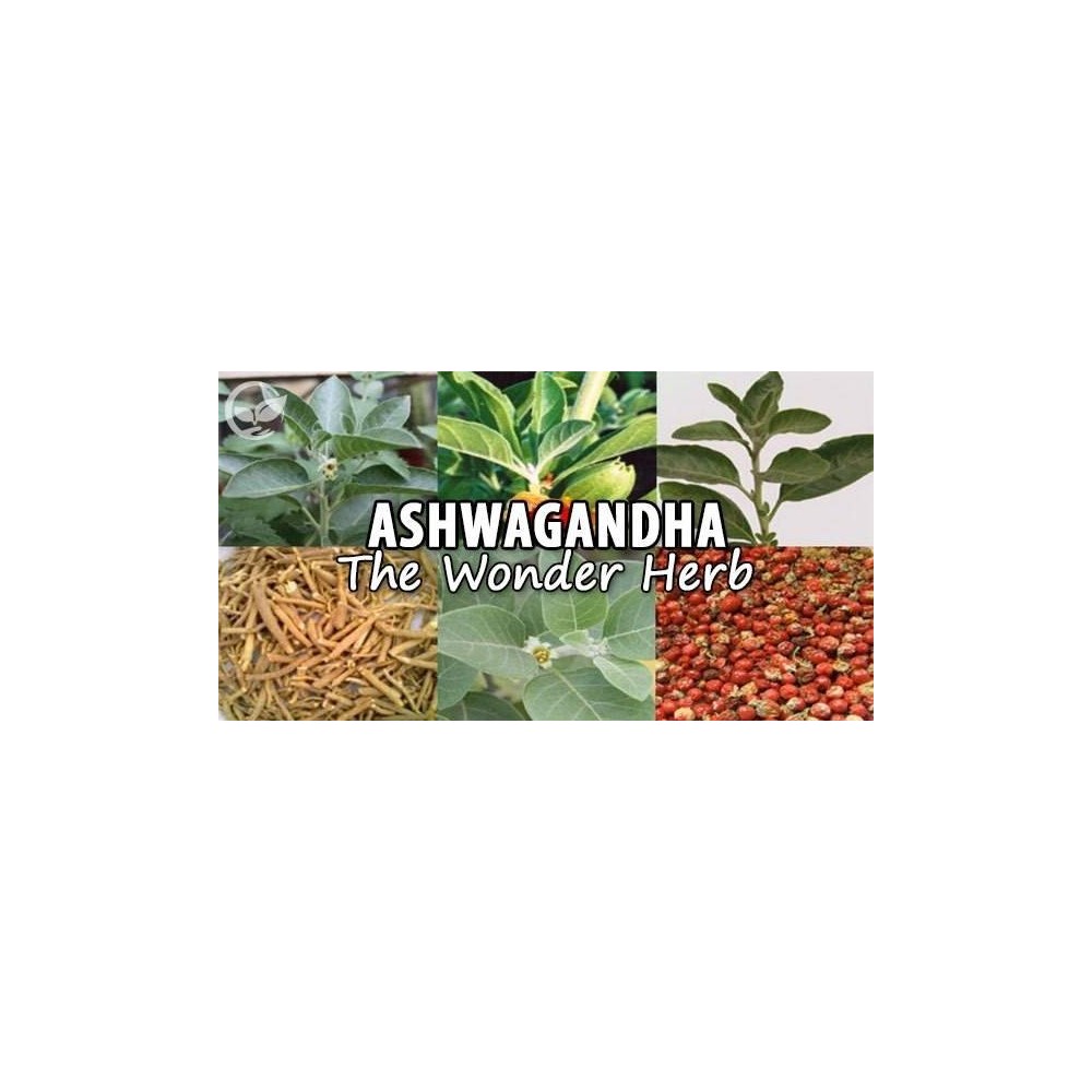 Ultimate Ashwagandha KSM-66 250mg 60 Capsule, Swanson Ultimate Ashwagandha KSM-66 beneficii: planta medicinala antica, reduce in