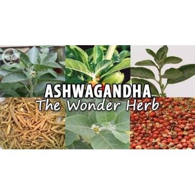 Ultimate Ashwagandha KSM-66 250mg 60 Capsule, Swanson Ultimate Ashwagandha KSM-66 beneficii: planta medicinala antica, reduce in