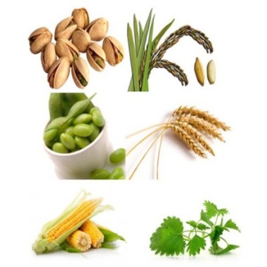 Beta-Sitosterol - 500 mg 90 Capsule (ajuta la mentinerea nivelului de colesterol, sprijinirea sistemului cardiovascular) Benefic