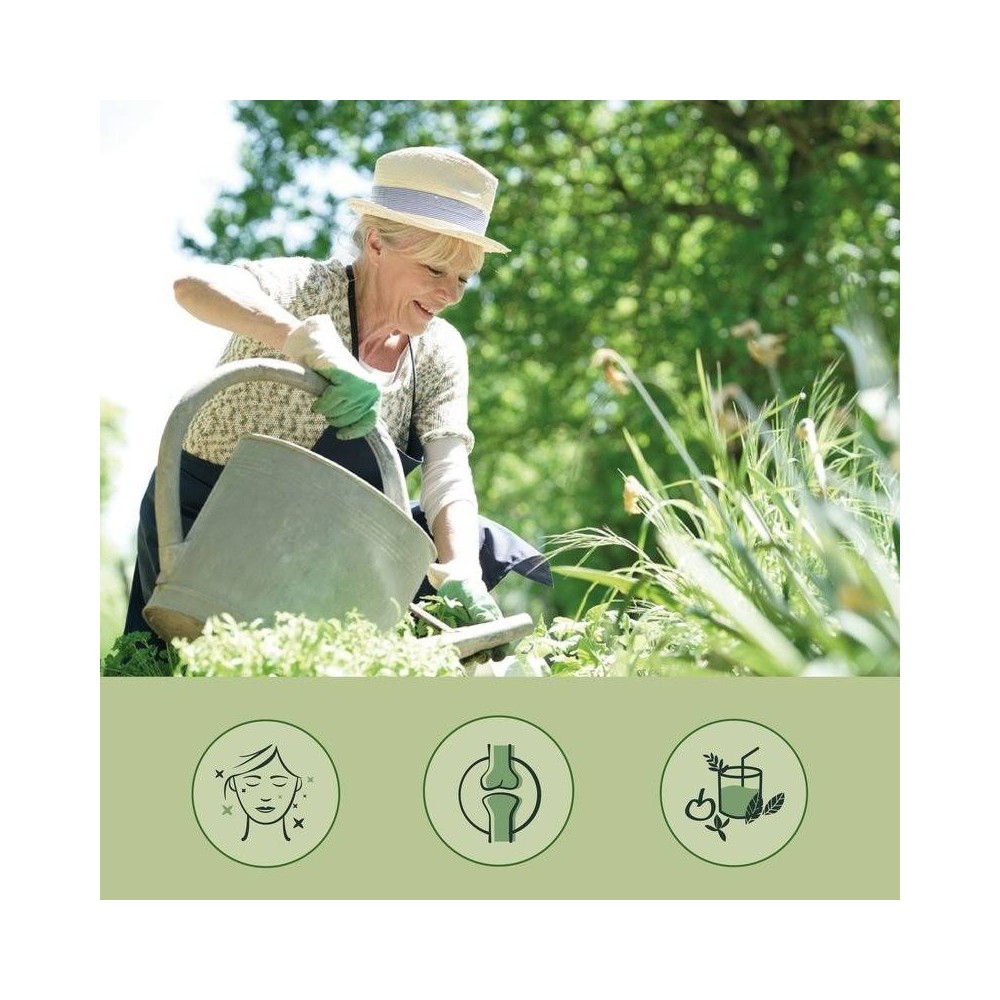 Colagen Vegan 270 Capsule, Vegavero Colagen vegan beneficii 100% vegan - nu este din substanțe de origine animala. Contine L-Liz
