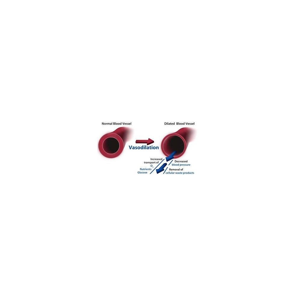 Swanson L-Arginine / L-Citrulline - 60 Capsule Beneficii L-Arginine / L-Citrulline: se transformă cu ușurință în Oxid Nitric, sp