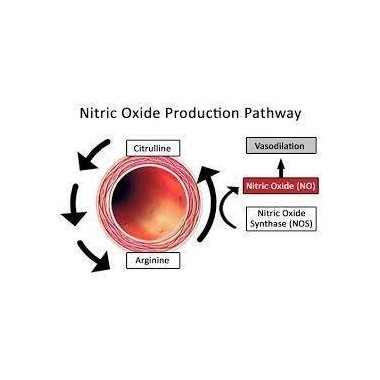 Swanson L-Arginine / L-Citrulline - 60 Capsule Beneficii L-Arginine / L-Citrulline: se transformă cu ușurință în Oxid Nitric, sp