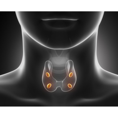 L-Tyrosine 500mg, 100 Capsule, Stimulează eliberarea hormonului de creștere care determină creșterea musculară Beneficii L-TYROS