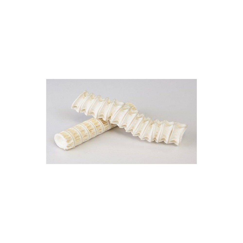 Francois Nature Cartilaj de rechin 120 capsule (Ajuta in artrita si osteoartrita) Beneficii Cartilaj de rechin: scade inflamatia