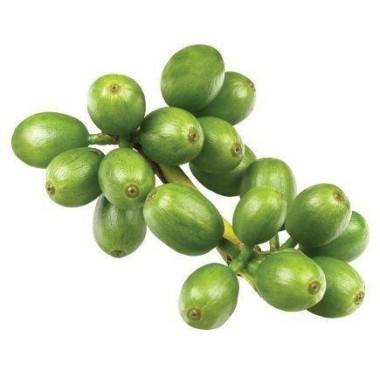 OstroVit Green Coffee 90 Tablete (Extract de cafea verde 500 mg) Beneficiile boabelor de cafea verde: ajuta la arderea grasimilo