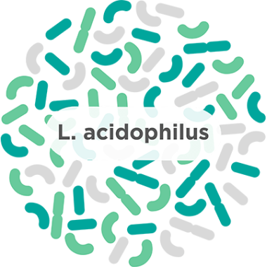 Oemine ECZEBIOPHILUS (Prebiotic si Probiotic) - 60capsule Contine peste 6 miliarde de bacili enterici per capsula. Pentru a cont