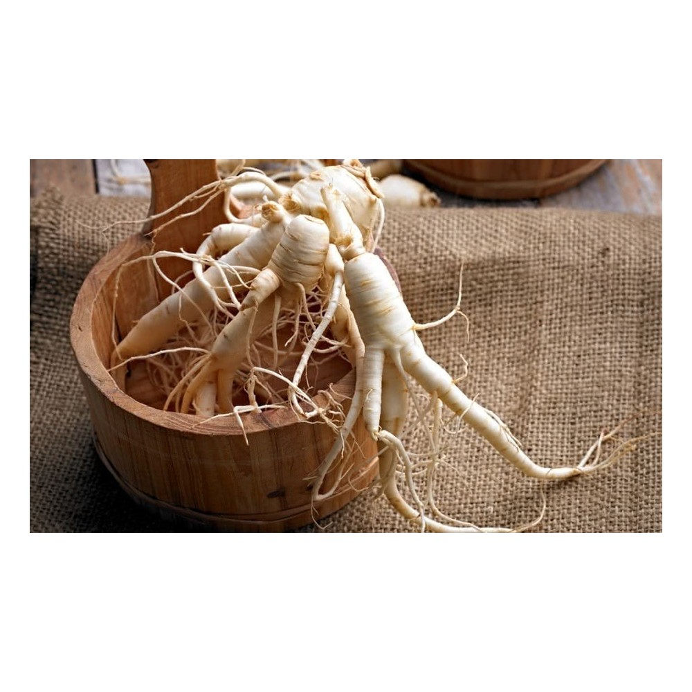 Ginseng siberian 500 mg, 100 capsule, Lupta impotriva stresului fizic si mental si reduce efectele nocive ale acestuia Beneficii