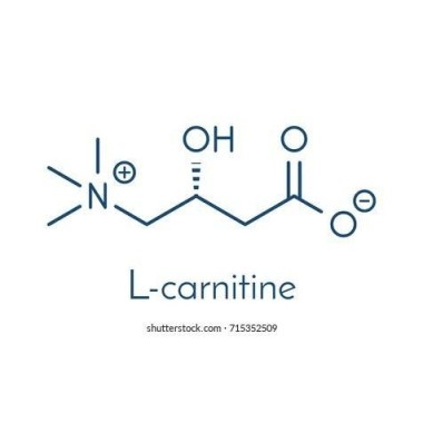L-Carnitina 1000 mg 90 Tablete OstroVit L-Carnitina beneficii: cel mai popular produs care ne ajuta sa slabim, ia grasimile si l