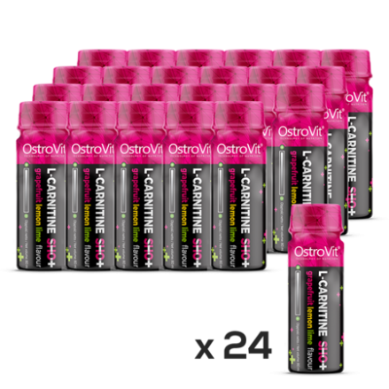 OstroVit L-carnitine Shot 24x80 ml (grepfrut, lamaie) Beneficii L-carnitine Shot: sprijina procesele de ardere a grasimilor (abs