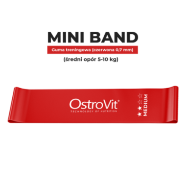 OstroVit Training Bands (Benzi de antrenament) 4 bucati set Cantitate: 4 (set)
Greutate neta: 200 g
Lungime: 31 cm
Latime: 5 cm
