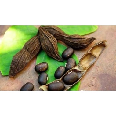 Biovea Mucuna Pruriens L-Dopa, 250mg, 60 capsule Beneficii Mucuna Pruriens L-Dopa: creste energia mentala si fizica, stimuleaza 
