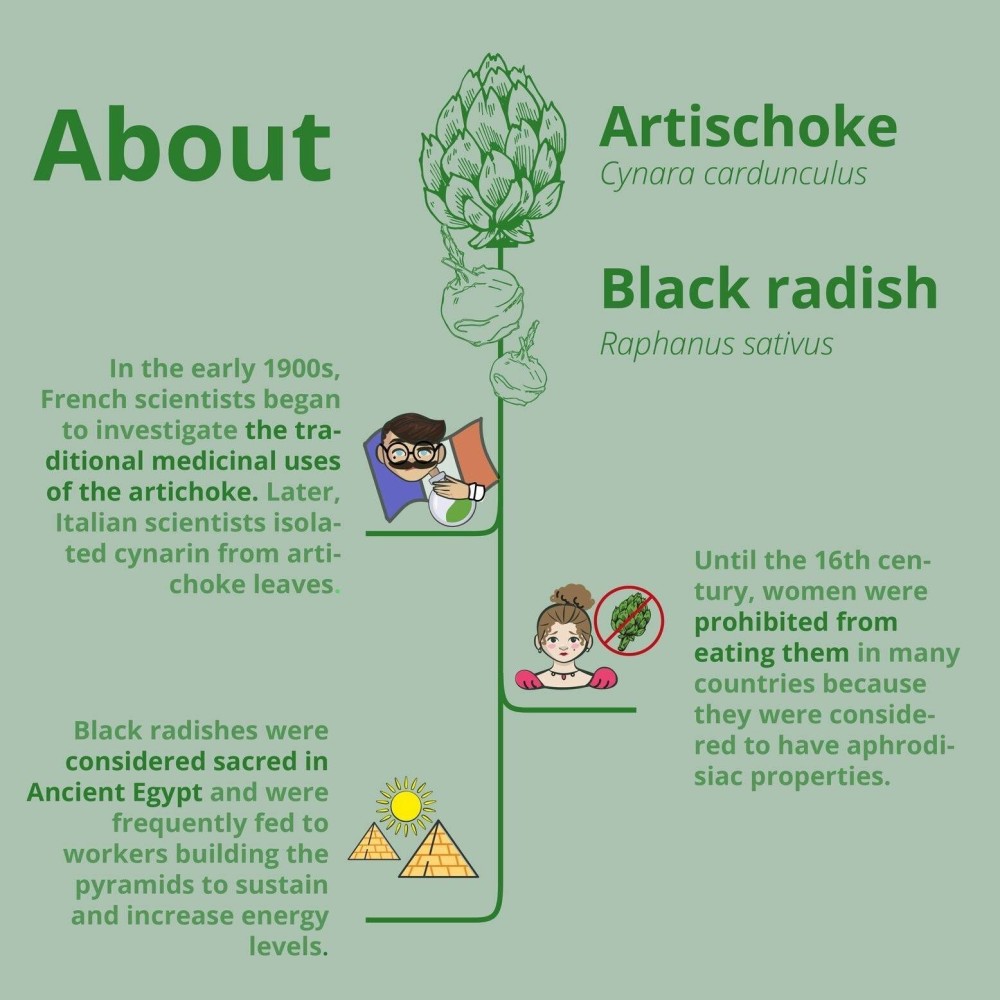 Vegavero Artichocke + Black Radish, 90 Capsule (Anghinare si Ridiche neagra) Beneficii: imbuntateste sanatatea inimii, regleaza 