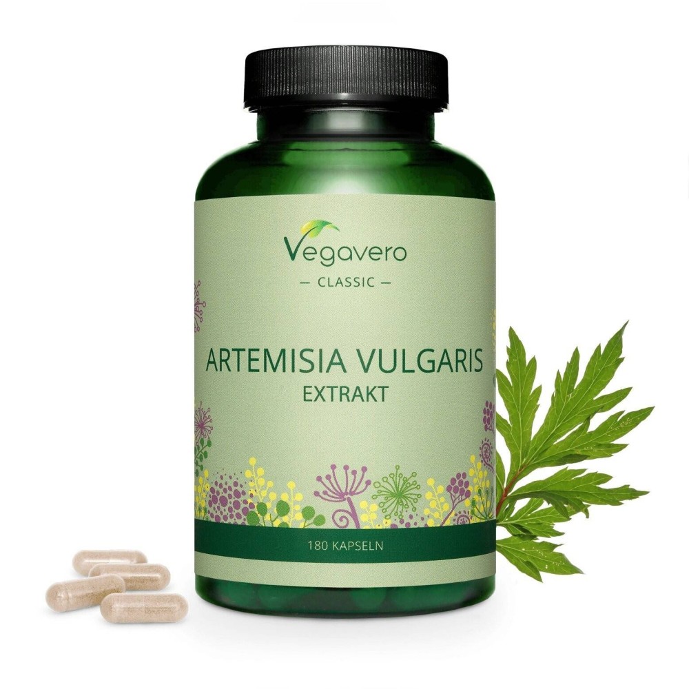 Vegavero Mugwort Extract 600 mg, 180 Capsule BENEFICII Mugwort: ameliorarea anumitor tipuri de artrita si dureri articulare, poa Vegavero Mugwort Extract 600 mg, 180 Capsule BENEFICII Mugwort: ameliorarea anumitor tipuri de artrita si dureri articulare, poa