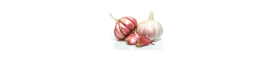 Suplimente alimentare pe baza de Usturoi