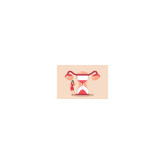 Menopauza