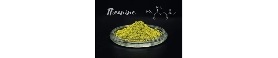 L-Teanina - L-Theanine