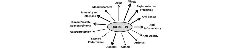 Quercetina