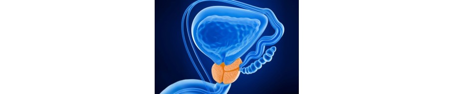 Produse naturiste pentru prostata