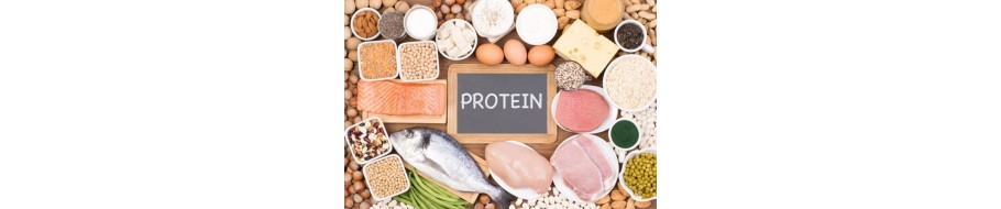 Proteine