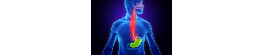 Reflux acid gastric, Reflux de acid gastric, reflux gastroesofagian