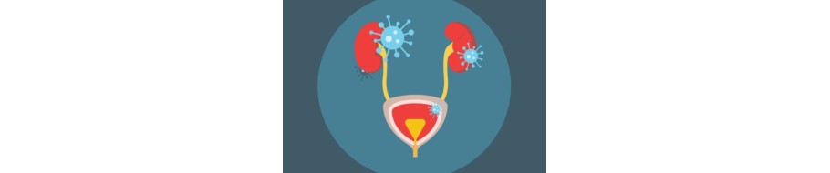 Infectii urinare, suplimente naturiste pentru inlaturarea infectiilor