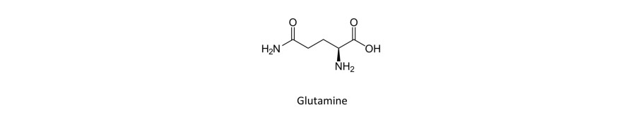 Glutamina